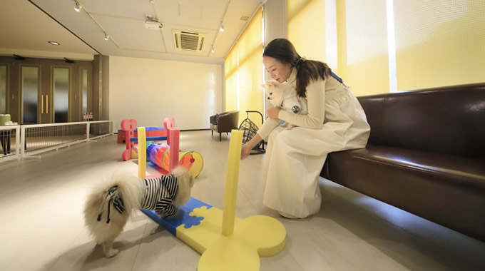 愛犬と泊まれる温泉宿　ゆるり西伊豆